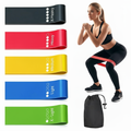 Pulserig resistance bands set with exercise bands, model, and portable carry bag